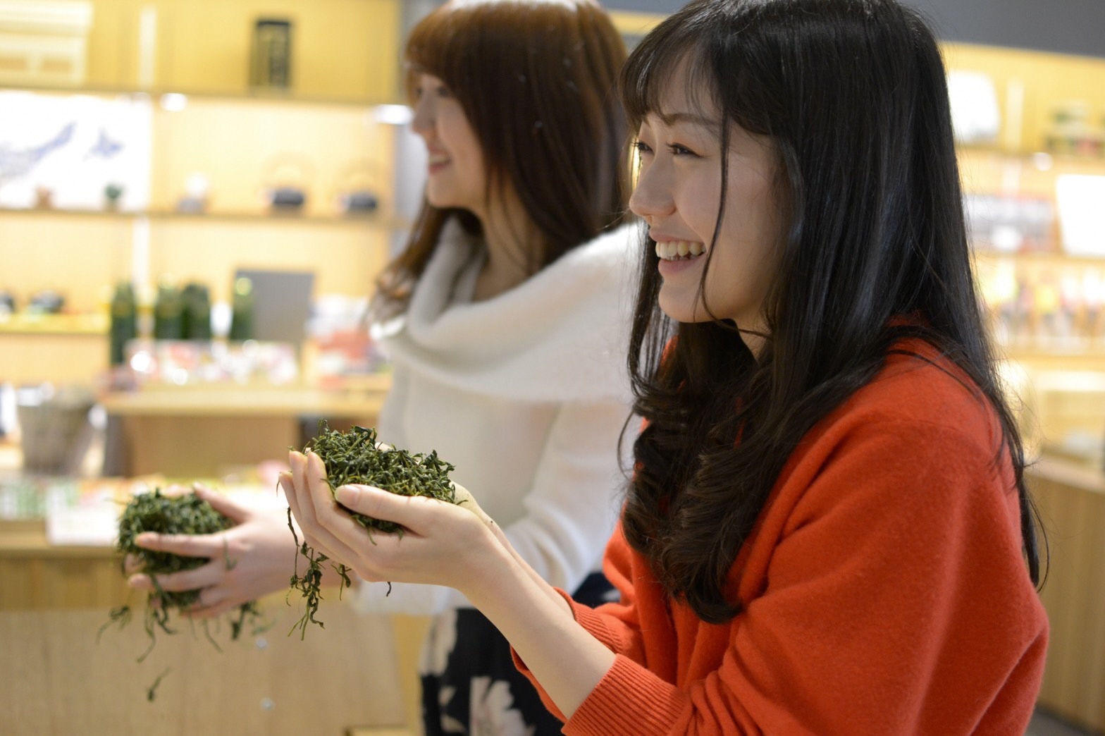 のイメージ